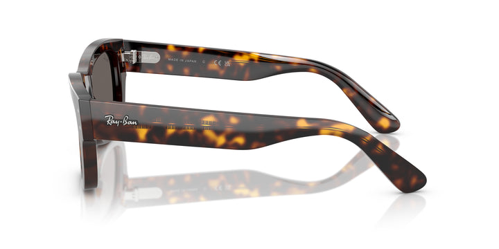 Ray-Ban 0RB7683S 902/B1