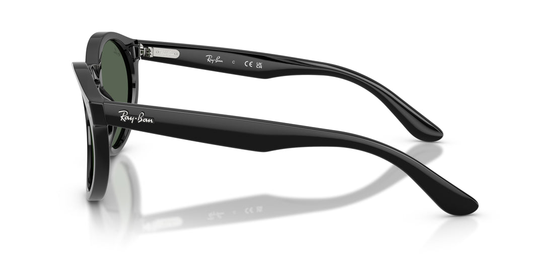 Ray-Ban 0RBR0505S 6677VR