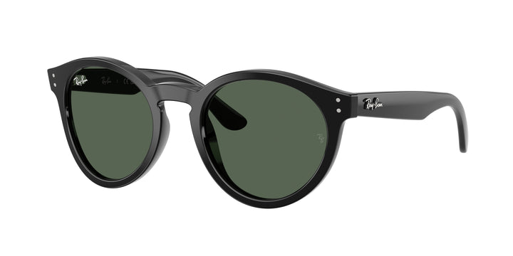 Ray-Ban 0RBR0505S 6677VR