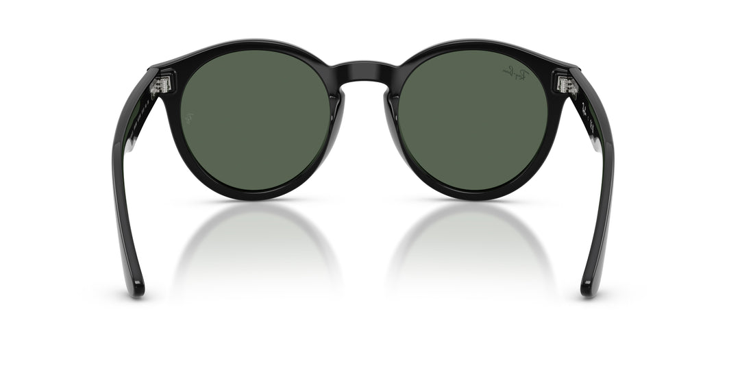 Ray-Ban 0RBR0505S 6677VR