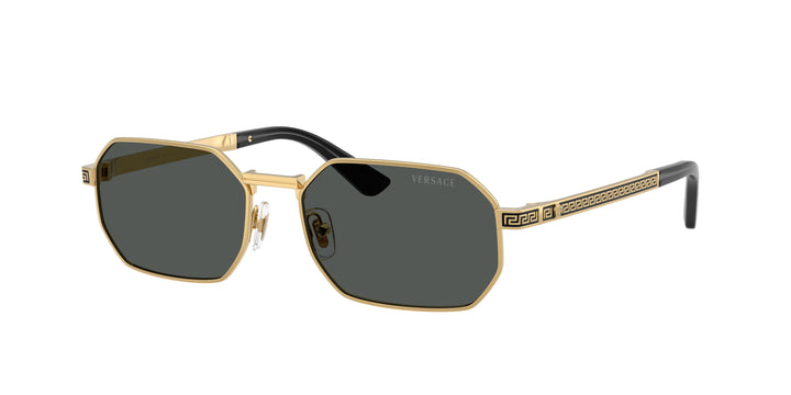 VERSACE 0VE2297 100287