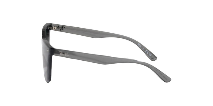 Ray-Ban 0RB4420 UNISEX