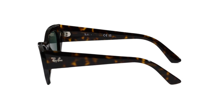 Ray-Ban ZENA UNISEX