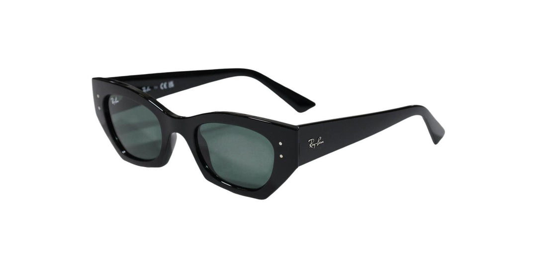 Ray-Ban ZENA UNISEX