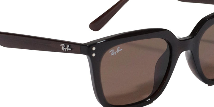 Ray-Ban 0RB4439D UNISEX